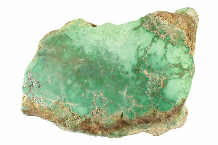 Vibrant, Polished Variscite Section - Australia #239926